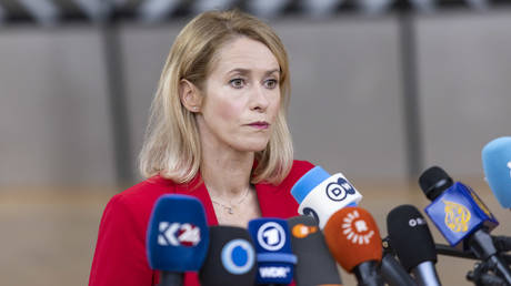Unelected EU official fumes over Russian election