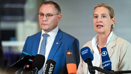 AfD is Germany&rsquo;s new &lsquo;people&rsquo;s party&rsquo; &ndash; co-leader