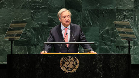Africa must get permanent seats on Security Council &ndash; UN chief