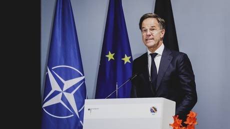 NATO chief wants Europeans to fight American wars