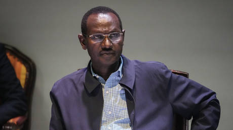 Ethiopia accuses foreign powers of backing anti-govt rebels