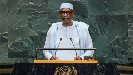 Mali has taken its case against Ukraine to the UN. What is behind it?