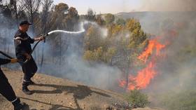 Algeria to impose death penalty for arson