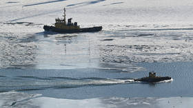 Arctic route saves time and costs for Indian shippers – CEO