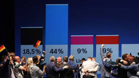 Alternative for Germany (AfD) party supporters cheering as they watch the results of exit polls in Saxony-Anhalt state elections, in Magdeburg, Germany, September 6, 2026.