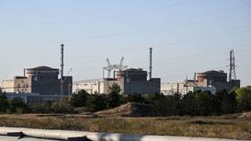 The reactor buildings of the Zaporozhye Nuclear Power Plant (ZNPP) are seen in Russia's Zaporozhye Region on September 27, 2024.