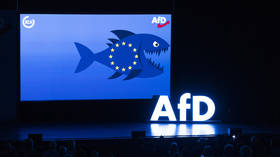 What the AfD really wants from China