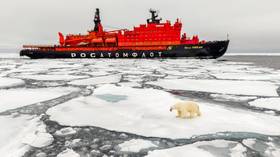 NATO seeking to push Russia out of Arctic – scholar