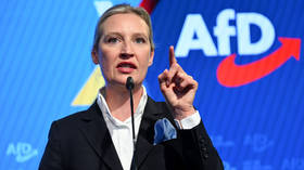 Alternative for Germany party co-chair Alice Weidel.
