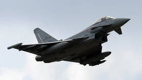 NATO scrambles jet over flock of birds