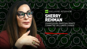 We have emerged in recent years as a stabilizer in South Asia – Pakistani senator