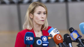 Unelected EU official fumes over Russian election