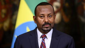 Ethiopian armed groups seek to oust government