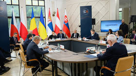 The Carpathian Eight: An alliance in the mountains – or a supply route for the next war?