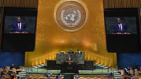 Tanzania launches bid for UN Security Council seat