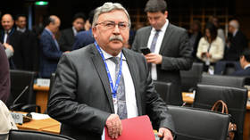 Russia’s Permanent Representative to International Organizations in Vienna Mikhail Ulyanov.