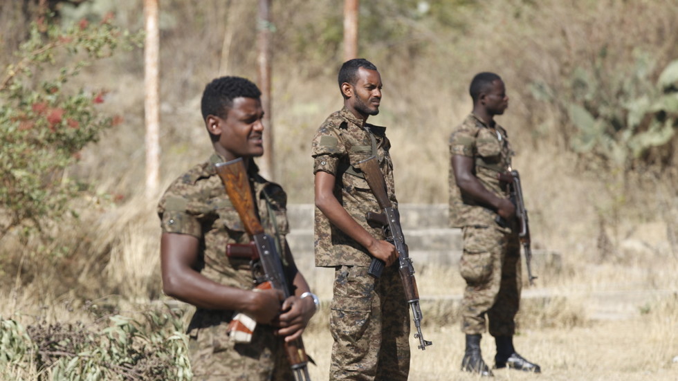 Ethiopian troops retake regional capital from rebels (VIDEO)