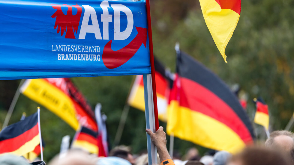 No, the AfD are not the Nazis – and neither are they Germany’s main problem right now