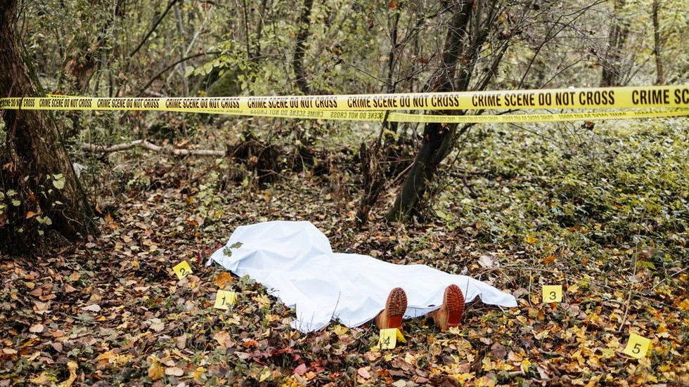 Serial killer could be on the loose in US state – police