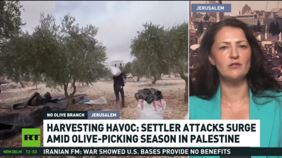 Israeli settler attacks disrupt Palestinian olive harvest – RT