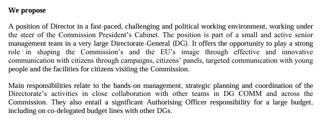 An excerpt from the European Commission's 'Director for Citizens Communication' job advert