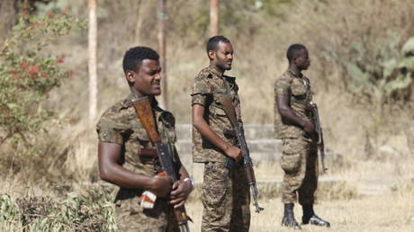 Ethiopian troops retake regional capital from rebels (VIDEO)