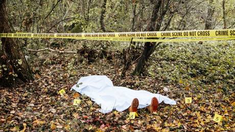 Serial killer could be on the loose in US state  police