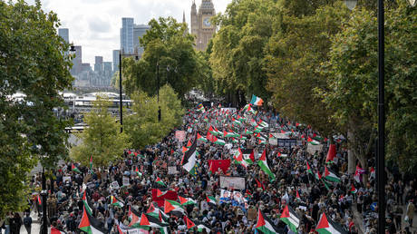 Thousands march in London to protest Israeli ‘genocide’ against Palestinians (VIDEO)