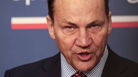 Europe risks becoming mere tourist attraction  Polish FM