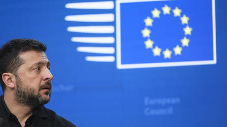 Zelensky treating Europe as his ‘personal ATM-  MEP
