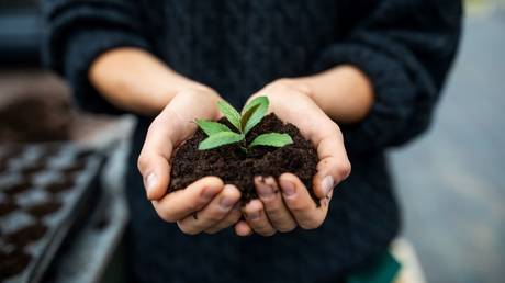 From dust to dirt: Australians to become compost after death