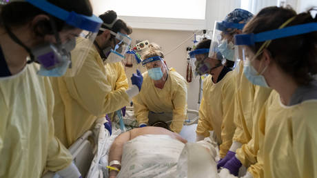 Livestock virus claims first human victim in France