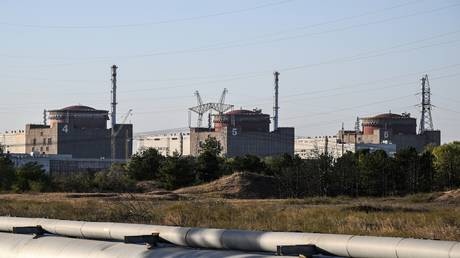 Ukrainian forces ‘hunt down- and kill Russian nuclear plant worker