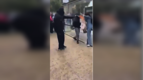 Teen arrested over flamethrower attack during student unrest in France (VIDEO)