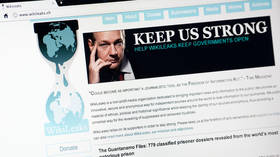 WikiLeaks at 20: The leaks that shook the world (VIDEOS)