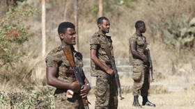 Ethiopian troops retake regional capital from rebels (VIDEO)