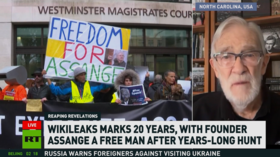 Assange created the ‘fifth estate’ – ex-CIA analyst (VIDEO)
