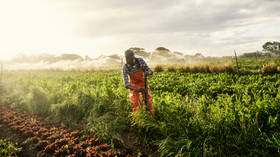 South Africa releases state land to black farmers