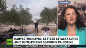 Israeli settler attacks disrupt Palestinian olive harvest – RT