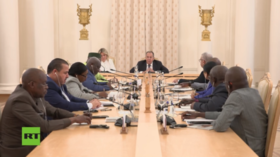 WATCH: Lavrov gives interview to African media