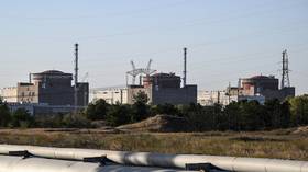 Ukrainian forces ‘hunt down’ and kill Russian nuclear plant worker