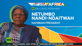 Africa needs permanent UN Security Council seat – Namibian president