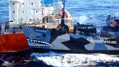 Japan kills 30 minke whales in ‘research’ campaign following intl court ban