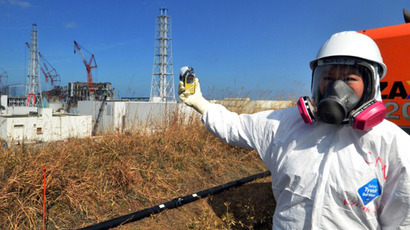 Confirmed: ‘Rat-like animal’ caused massive Fukushima power outage