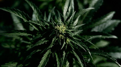 House bans DEA from attacking medical marijuana facilities