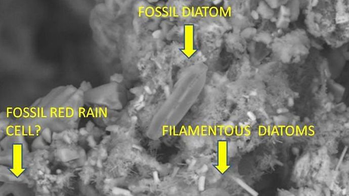 An electron microscope view of a collection of 'fossils' found in what is believed to be a fragment from a meteor that exploded over Sri Lanka. Picture: University of Cardiff.