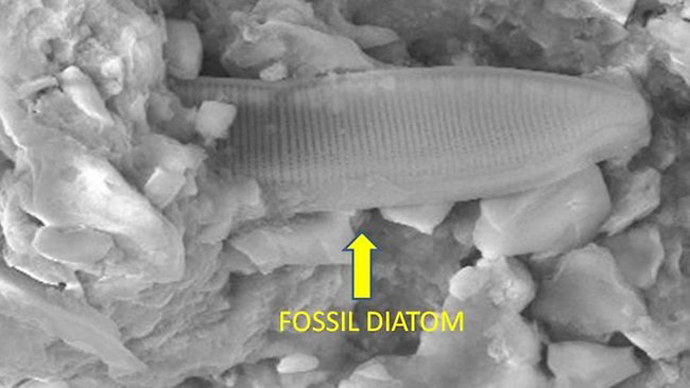 The supposedly fossilised structure found in a meteor. Picture: University of Cardiff.