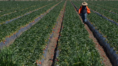 Monsanto announces huge profits despite public backlash