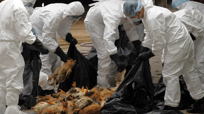 First deadly case of avian flu confirmed in North America