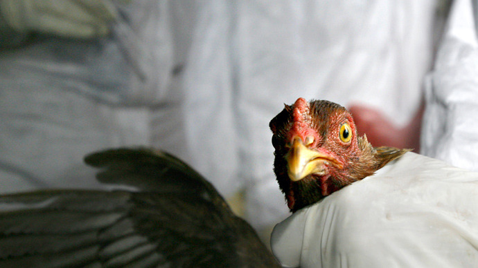 Top scientists to Obama: Ban mutation experiments that will make avian flu more infectious